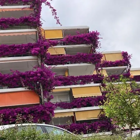 Marvelous Sea & Garden View, Near Carihuela Beach Torremolinos Exterior photo